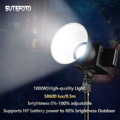  DigitalFoto Solution Limited P100 Bi-Color LED Monolight