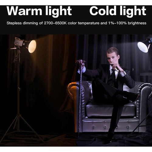  DigitalFoto Solution Limited SL100D-PRO Bi-Color COB LED Monolight