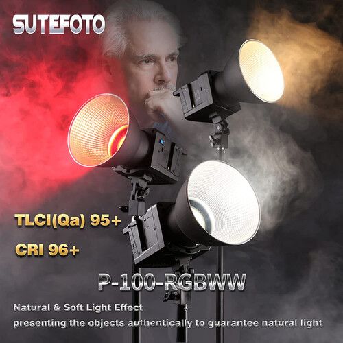  DigitalFoto Solution Limited P100 RGB LED Monolight