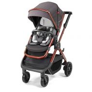 Diono Quantum2 3-in-1 Multi-Mode Stroller for Baby, Infant, Toddler Stroller, Car Seat Compatible, Adaptors Included, Compact Fold, XL Storage Basket, Copper Hive