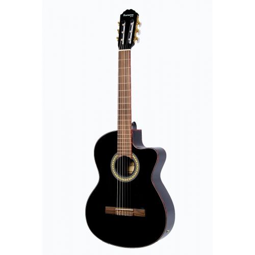  Directly Cheap 6 String Classical Guitar, Natural (GFC349-NT+Lessons)