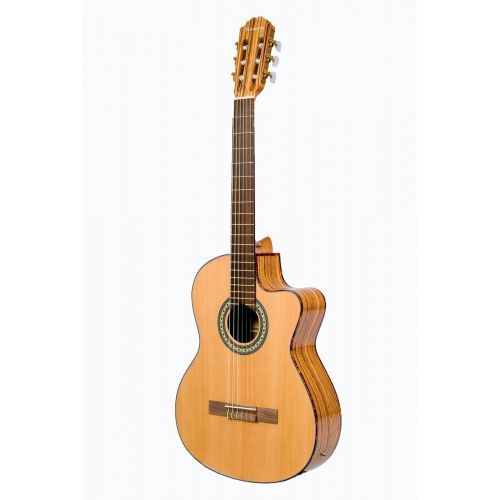  Directly Cheap 6 String Classical Guitar, Natural (GFC349-NT+Lessons)