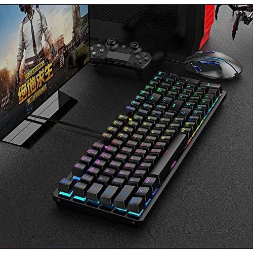  Dirkshop Mechanical Gaming Keyboard Compact 98 Key Mechanical Computer Keyboard -USB Connection Multi-Color Rainbow programmable RGB with Blue Switches,for Windows PC Gamers