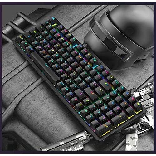  Dirkshop Mechanical Gaming Keyboard Compact 98 Key Mechanical Computer Keyboard -USB Connection Multi-Color Rainbow programmable RGB with Blue Switches,for Windows PC Gamers