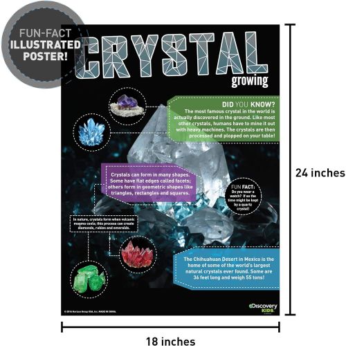  Discovery Crystal Growing Kit by Horizon Group Usa, DIY STEM Science, Make Your Own 3 Colorful Crystals