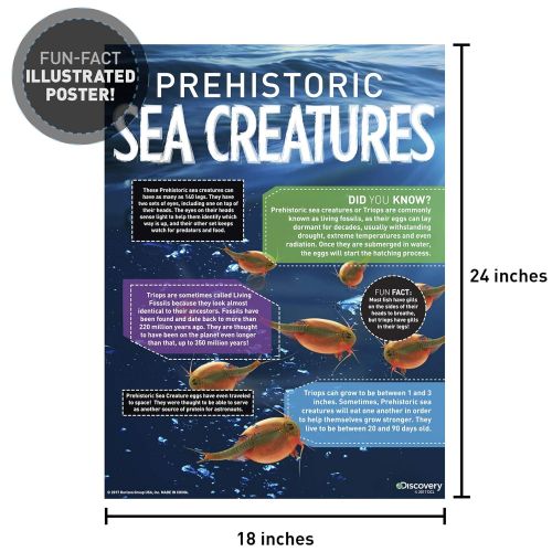  Discovery Kids Prehistoric Sea Creatures by Horizon Group USA, Great Stem Science Kit, Sea Creature Eggs, Sea Creature Food, Aquarium, Natural Sand & Poster Included