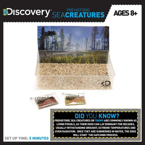  Discovery Kids Prehistoric Sea Creatures by Horizon Group USA, Great Stem Science Kit, Sea Creature Eggs, Sea Creature Food, Aquarium, Natural Sand & Poster Included