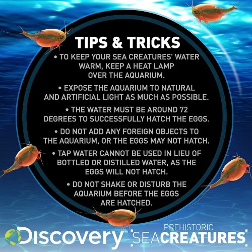  Discovery Kids Prehistoric Sea Creatures by Horizon Group USA, Great Stem Science Kit, Sea Creature Eggs, Sea Creature Food, Aquarium, Natural Sand & Poster Included