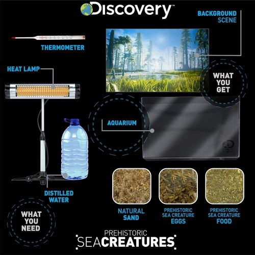  Discovery Kids Prehistoric Sea Creatures by Horizon Group USA, Great Stem Science Kit, Sea Creature Eggs, Sea Creature Food, Aquarium, Natural Sand & Poster Included