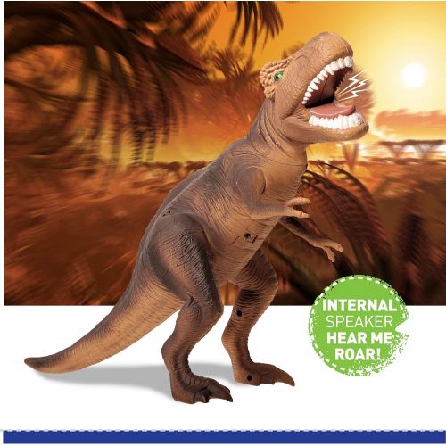  [아마존 핫딜] [아마존핫딜]Discovery Kids 5 Piece T-Rex Dinosaur Collection Toy Set