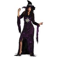 Disguise Sorceress Costume