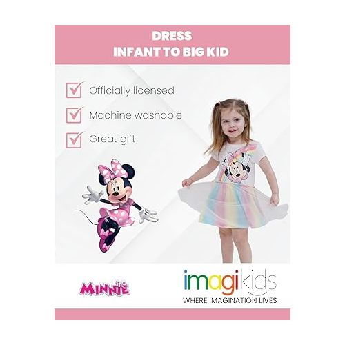 디즈니 Disney Minnie Mouse Mickey Mouse Rainbow Tulle Dress Toddler to Big Kid