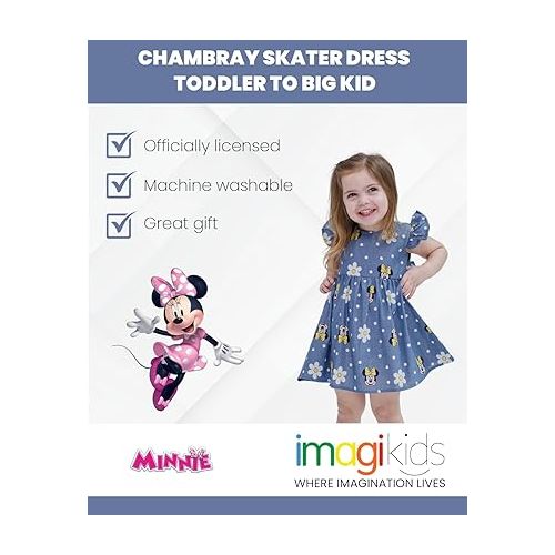 디즈니 Disney Minnie Mouse Mickey Mouse Daisy Lilo & Stitch Princess Belle Ariel Girls Chambray Skater Dress Toddler to Big Kid