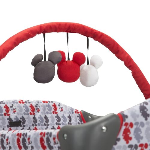 디즈니 Disney Baby Minnie Mouse Sweet Wonder Play Yard with Carry Bag (Garden Delight)