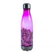 Silver Buffalo DP11178J Disney Princesses Floral Sketch Plastic Curved Water Bottle with Screw Top, 20-Ounces