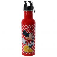 1 X Disneys Minnie Mouse - All About Me - Aluminum Water Bottle