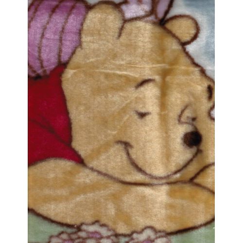 디즈니 Disney Baby Winnie the Pooh Bedtime Stories Luxury Plush Throw Blanket (30 in. x 45 in.)