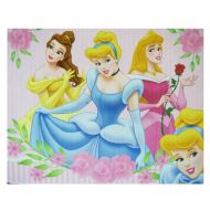 Disney Princess Raschel Plush Throw Blanket - Princess Blanket 40in x 50in (Beautiful Dreamers)