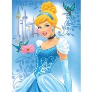 Disney Princess Cinderella Little Friends Royal Plush Raschel Throw Blankets, Twin Size 60 by 80 inches, Light Blue