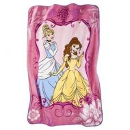 Disney Princess Cinderella and Belle Micro Raschel Twin Blanket; 62 x 90