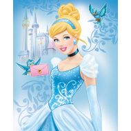 Disney Silk Touch Sherpa Twin Blanket and Marvel Designs 60x80 (Cinderella)