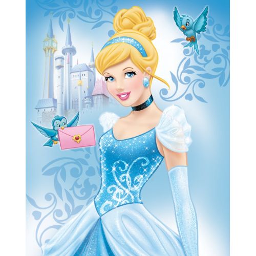 디즈니 Disney Silk Touch Sherpa Twin Blanket and Marvel Designs 60x80 (Cinderella)