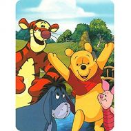 Disney Winnie the Pooh Hunny Dayz Tigger, Eeyore, Pigglet 60x80 Twin Mink Style Blanket