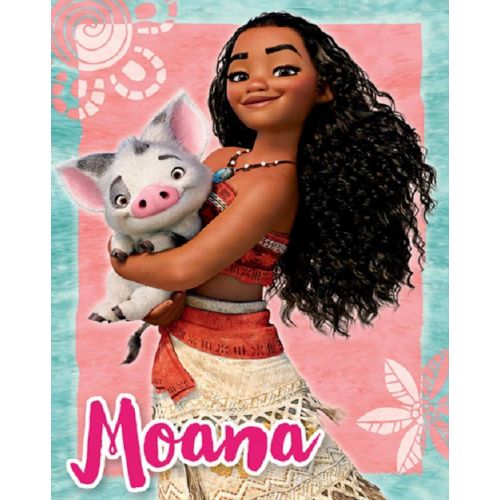 디즈니 Disney Moana and Pua Island Daughter Raschel Plush Baby Size Blanket