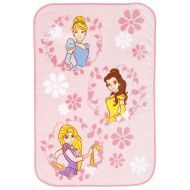 Disney Princess Scenic Coral Fleece Toddler Blanket, Pink