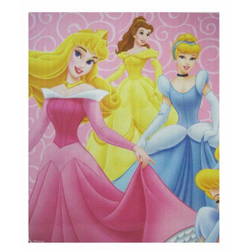 디즈니 Disney Princess Raschel Plush Throw Blanket - Princess Blanket Dazzling Dovas