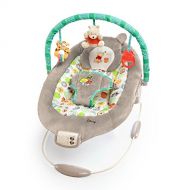 [아마존베스트]Disney Baby Winnie The Pooh Bouncer, Dots and Hunny Pots