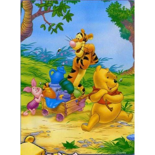 디즈니 Disney Winnie the Pooh Sunshine BED IN A BAG Set Twin/Single Size