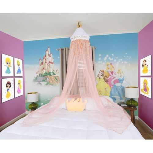 디즈니 Disney Princess Kids Bed Canopy for Ceiling, Hanging Curtain Netting