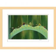 Disney A Bugs Life The Leaf Bridge Framed Giclee on Paper by Tia Kratter - Limited Edition