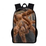 Dispalang Cute Insect Printing School Backpack Spider Bookbag Children