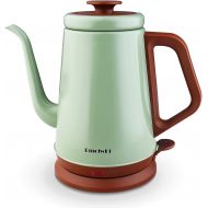 [아마존베스트]DmofwHi Gooseneck Electric Kettle(1.0L), 100% Stainless Steel BPA Free Classic Pour Over Coffee Kettle | Tea Kettle - Green