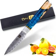 [아마존베스트]Dnifo Classic Paring Knife 3.5 Inch, Damascus Steel Japanese Knife - Sharp fruit knife for Peeling, Cutting, and Slicing - Non-stick Blade and Anti-rusting Forged Cutlery Knife