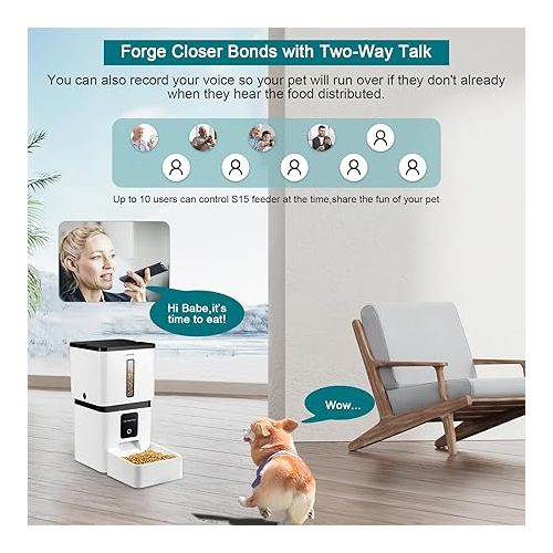  DoHonest Automatic Dog Feeder with Camera - 5G WiFi Easy Setup 8L Motion Detection Smart Cat Food Dispenser 1080P HD Video Recording 2-Way Audio Timed Pet Feeder App Control Night Vision