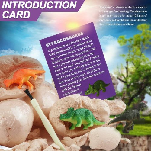  Dodosky Dig Up Dinosaur Fossil Eggs, Dinosaur Eggs Excavation Easter Toys for 5 6 7 8 9 10 11 12 13 Year Old Kids Gifts for 6-15 Year Olds Boys Girls STEM Toys for 4-12 Year Olds B