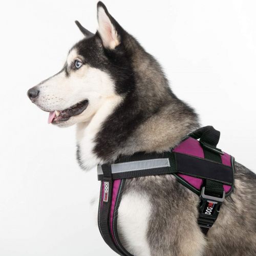  Dogline Unimax Multi-Purpose Dog Harness Vest with Blank Patches Adjustable Straps, Comfy Fit, Breathable Neoprene for Medical, Service, Identification and Training Dogs
