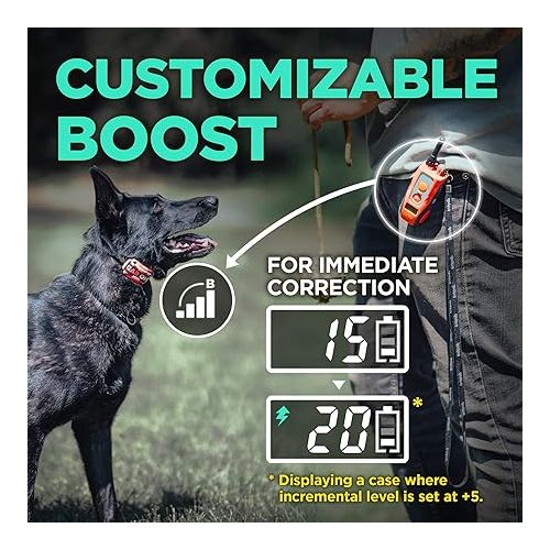  Dogtra E-Collar Tom Davis 280C Boost & Lock, Waterproof, 1/2-Mile Range Dog Training Collar with Remote, Rechargeable, 127 Levels, Vibration, Bungee, No Bad Dogs Trainer for Small, Medium, Large Dogs