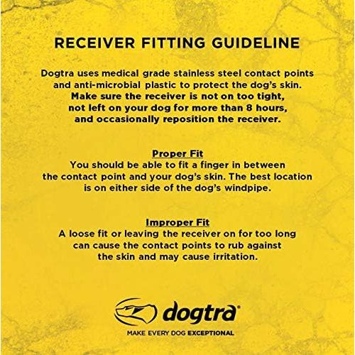  Dogtra 200C Basic Electronic Training Dog Collar with Remote for Dogs 10+ Pounds