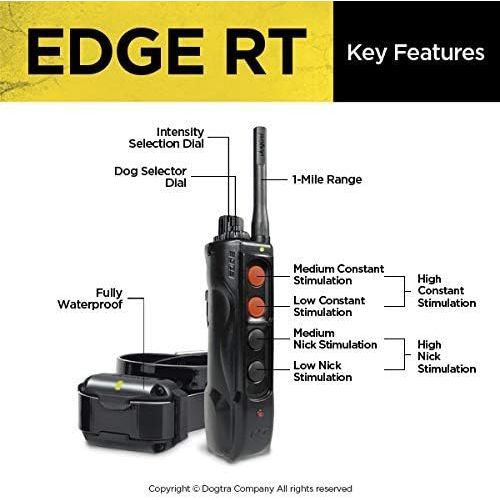  Dogtra Edge Expandable Remote Training Collar System, Black