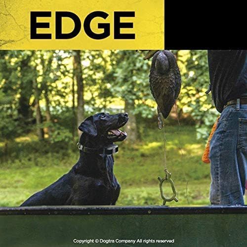  Dogtra EDGE Receiver Collar