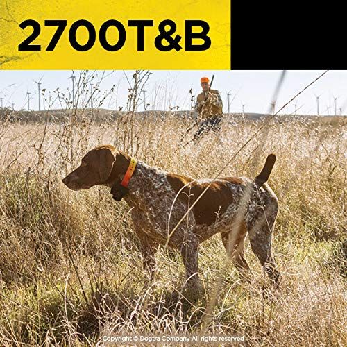  Dogtra 2700T and B Training and Beeper Collar
