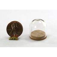 Dollhouse Miniature Medium Glass Dome Display Case with Wood Base
