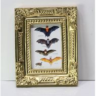 Dollhouse Miniature Miniature 1:12 Scale Artwork Gold Framed Print of a Series of Bats Illustration Plate