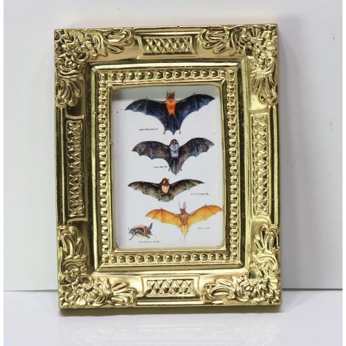  Dollhouse Miniature Miniature 1:12 Scale Artwork Gold Framed Print of a Series of Bats Illustration Plate