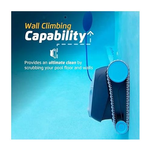  Dolphin Advantage Automatic Robotic Pool Vacuum Cleaner, Wall Climbing, Active Scrubber Brush, Ideal for In-Ground Pool Types up to 33 FT in Length