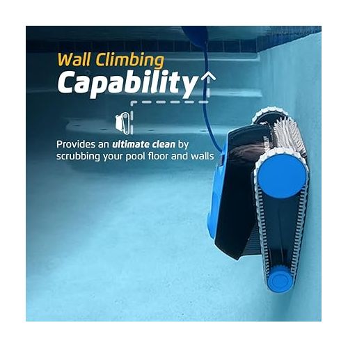  Dolphin Nautilus CC Automatic Robotic Pool Vacuum Cleaner, Wall Climbing Scrubber Brush, Top Load Filter Access, Ideal for above/In-Ground Pools up to 33 FT in Length